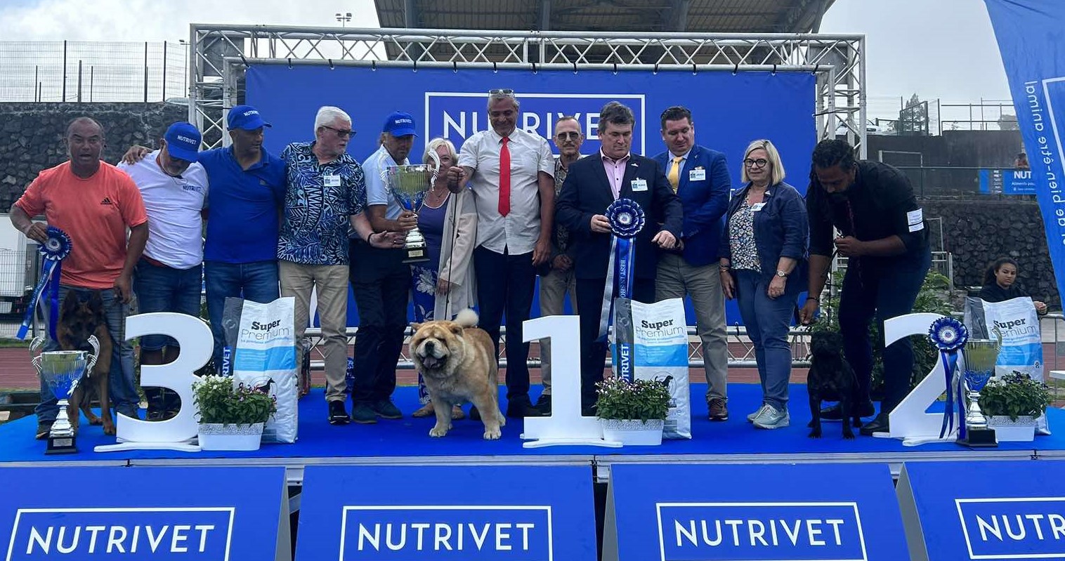 Chow Chows champions sur le podium d’une exposition canine à La Réunion
