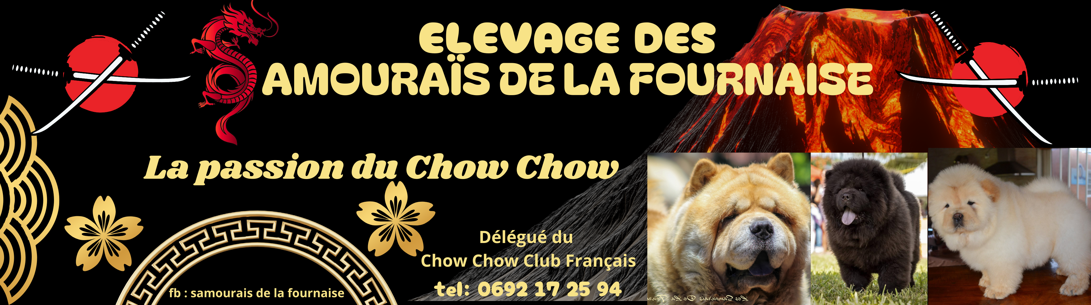 Langue noire chez les chiens : explications et quand s'inquiéter, image size:3780x1058