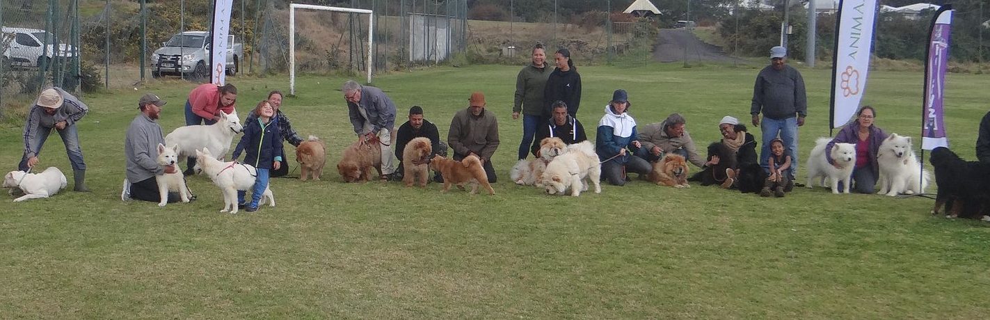 Regroupement d’éleveur Chow Chow lors d’un pique-nique familial à La Réunion