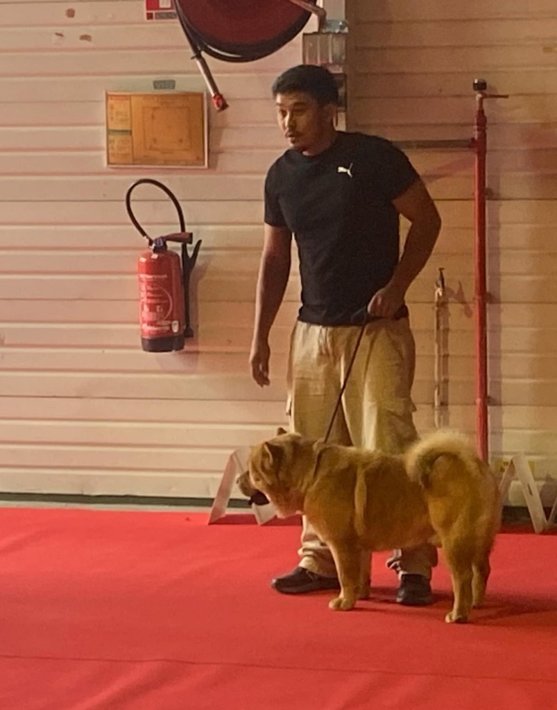 Aiko des Samourais de la fournaise expo Bourges